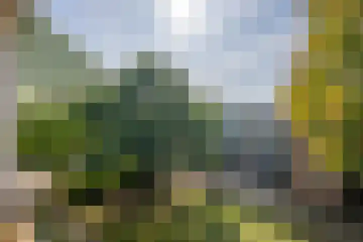 Tsjaikovskilaan 33 Voorschoten foto 3