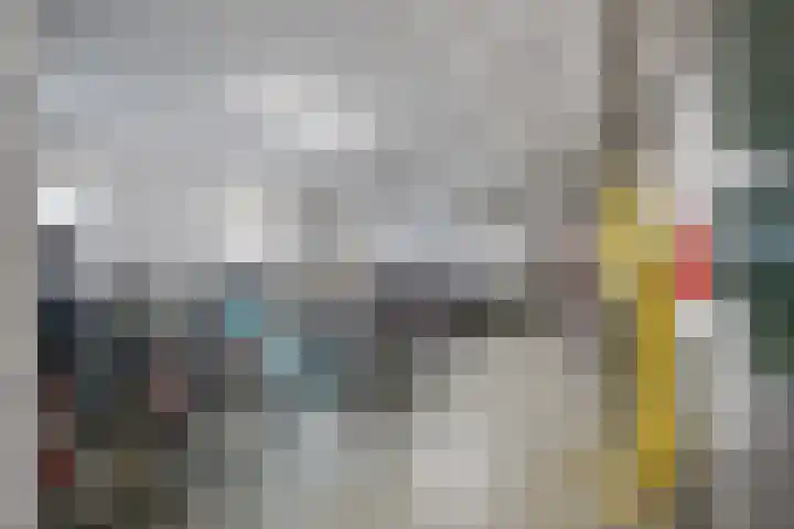 Tsjaikovskilaan 33 Voorschoten thumbnail 32