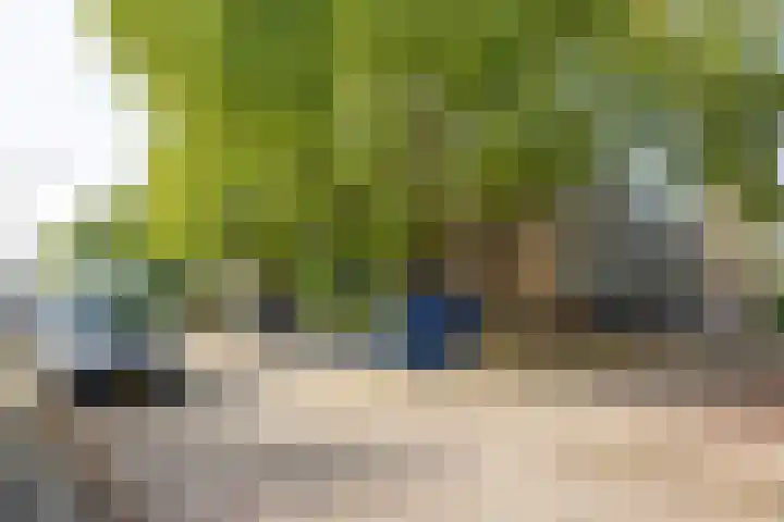 Tsjaikovskilaan 33 Voorschoten thumbnail 34