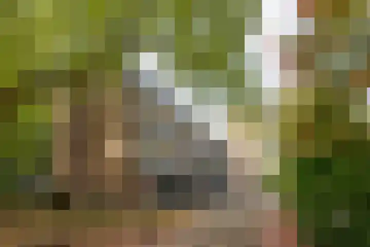 Tsjaikovskilaan 33 Voorschoten thumbnail 35
