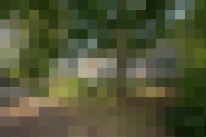 Tsjaikovskilaan 33 Voorschoten thumbnail 36