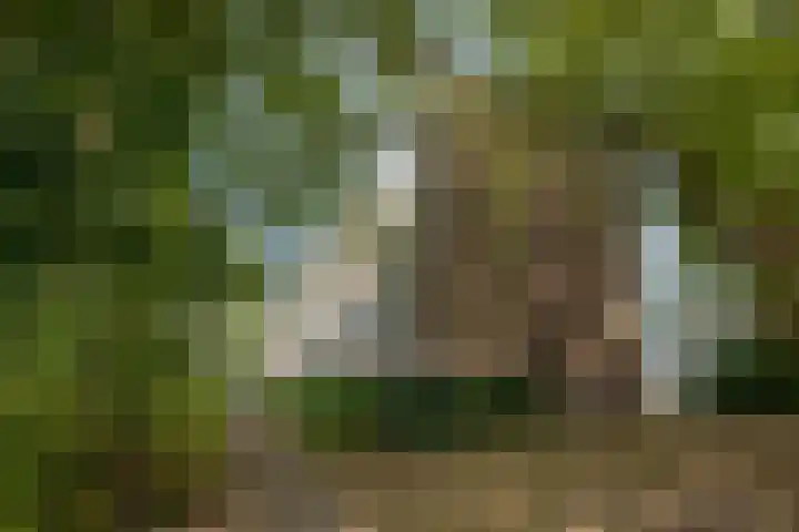 Tsjaikovskilaan 33 Voorschoten thumbnail 39