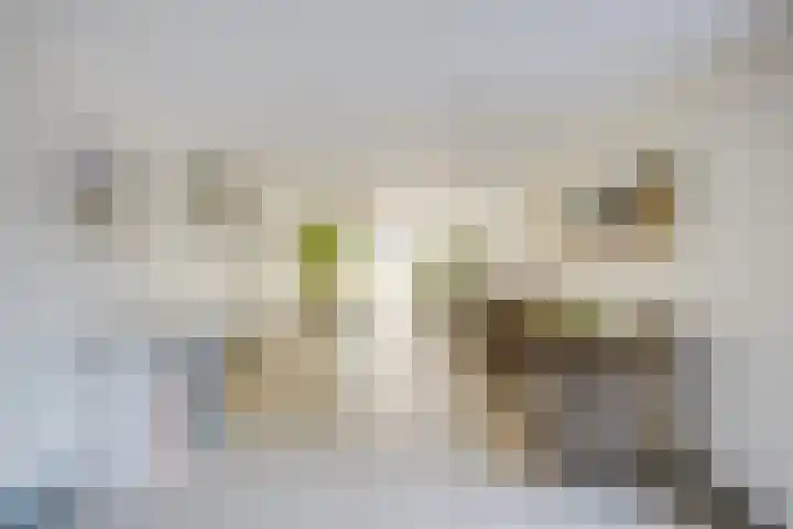 Tsjaikovskilaan 33 Voorschoten thumbnail 5