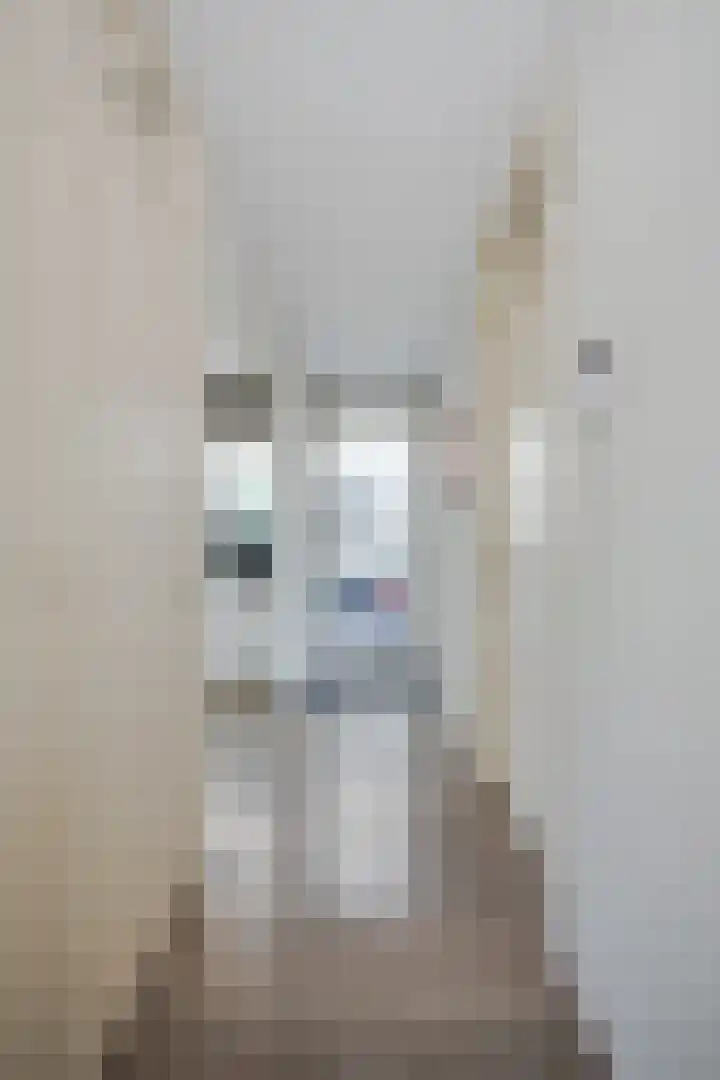 Tsjaikovskilaan 33 Voorschoten thumbnail 9