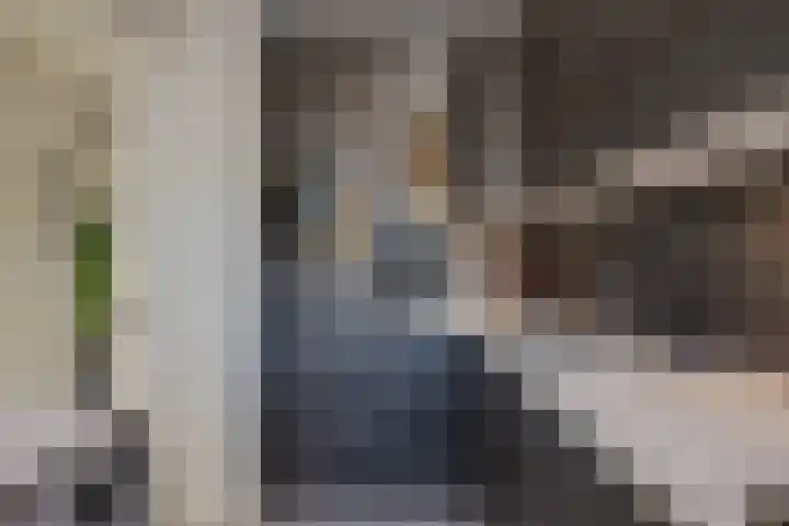 Tsjaikovskilaan 37 Voorschoten thumbnail 13