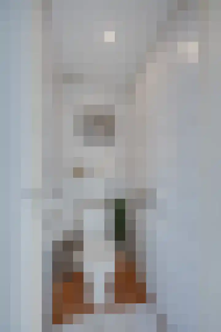 Tsjaikovskilaan 37 Voorschoten thumbnail 15