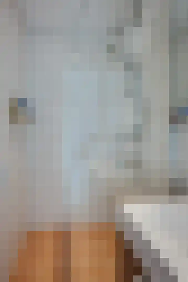 Tsjaikovskilaan 37 Voorschoten thumbnail 17