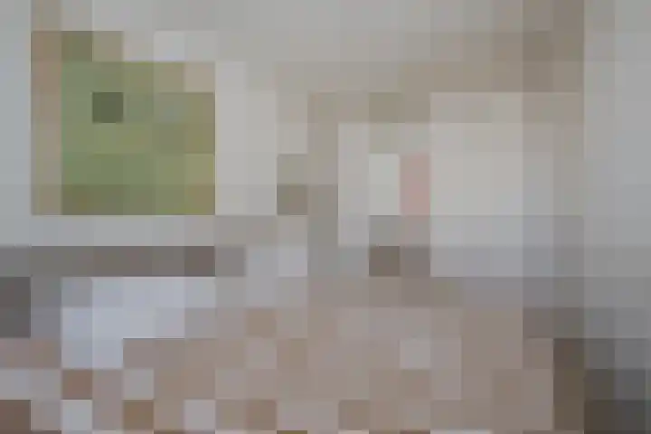 Tsjaikovskilaan 37 Voorschoten thumbnail 20