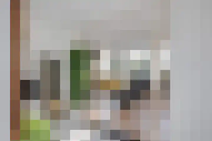 Tsjaikovskilaan 37 Voorschoten thumbnail 21