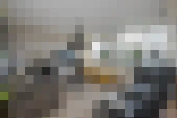 Tsjaikovskilaan 37 Voorschoten thumbnail 23
