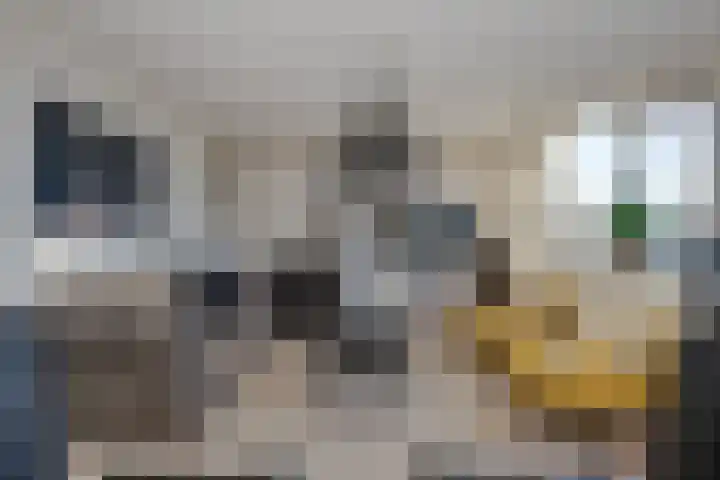 Tsjaikovskilaan 37 Voorschoten thumbnail 24