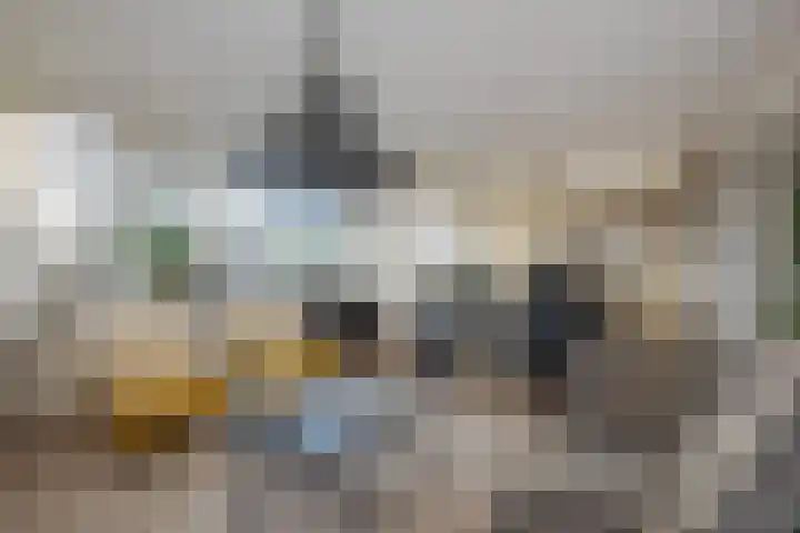 Tsjaikovskilaan 37 Voorschoten thumbnail 25