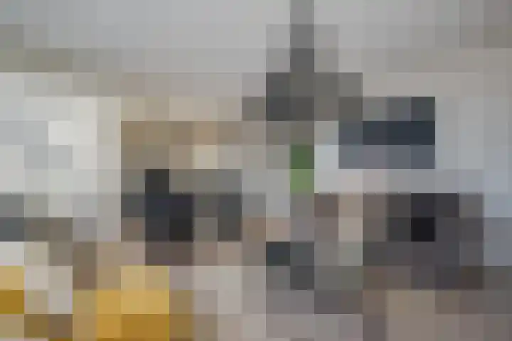 Tsjaikovskilaan 37 Voorschoten thumbnail 26