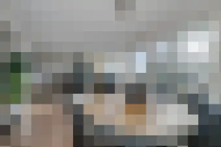Tsjaikovskilaan 37 Voorschoten thumbnail 28
