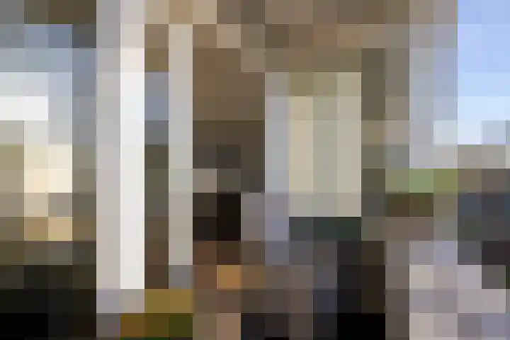 Tsjaikovskilaan 37 Voorschoten thumbnail 31
