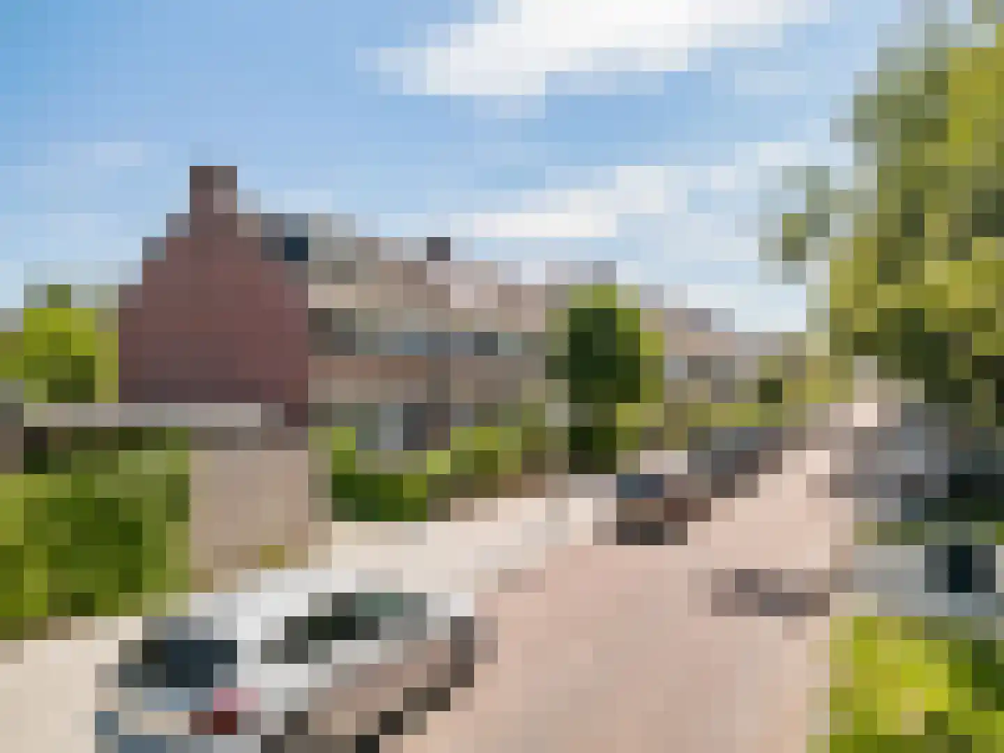 Tsjaikovskilaan 44 Voorschoten thumbnail 24