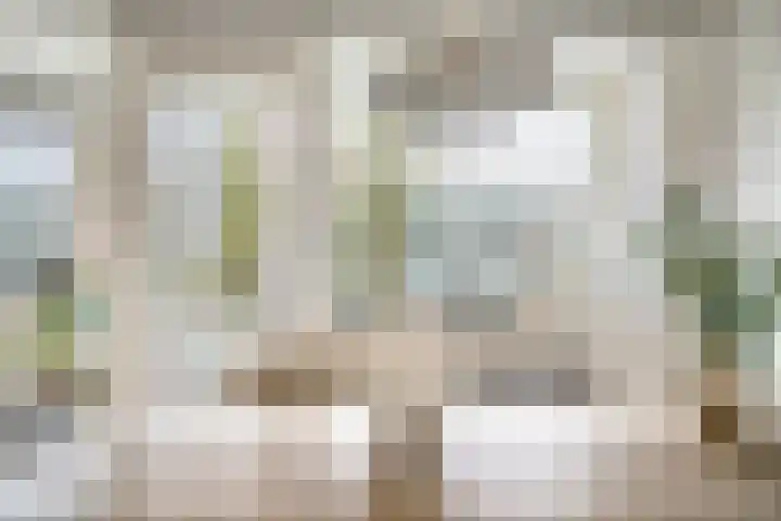 Tsjaikovskilaan 9 Voorschoten thumbnail 10