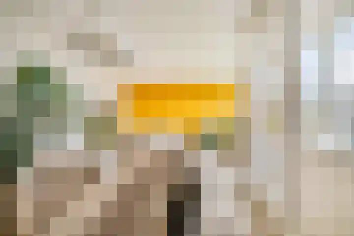 Tsjaikovskilaan 9 Voorschoten thumbnail 11
