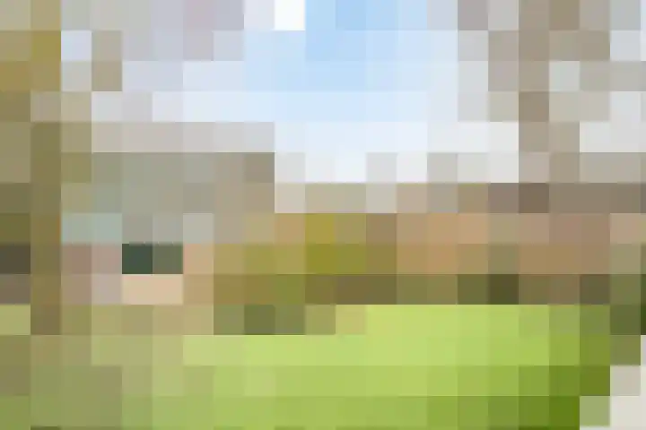 Tsjaikovskilaan 9 Voorschoten thumbnail 13