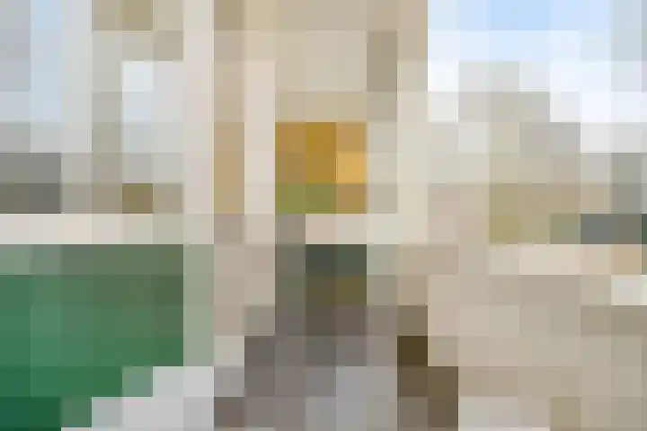Tsjaikovskilaan 9 Voorschoten thumbnail 14