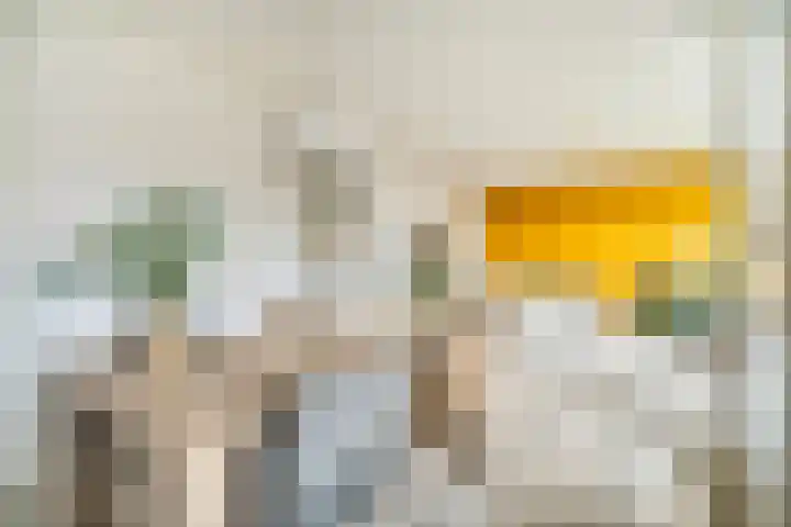 Tsjaikovskilaan 9 Voorschoten thumbnail 15
