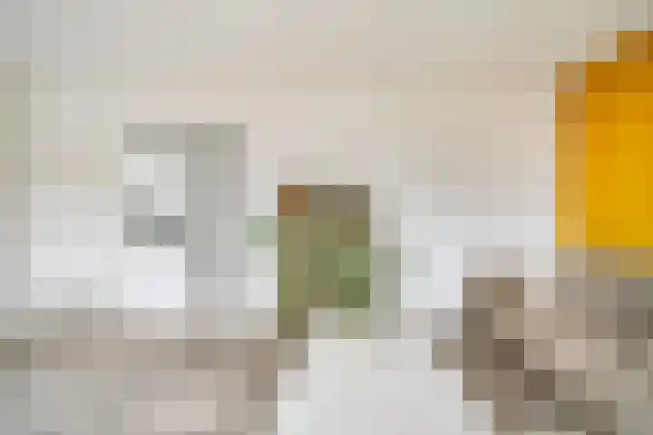 Tsjaikovskilaan 9 Voorschoten thumbnail 16