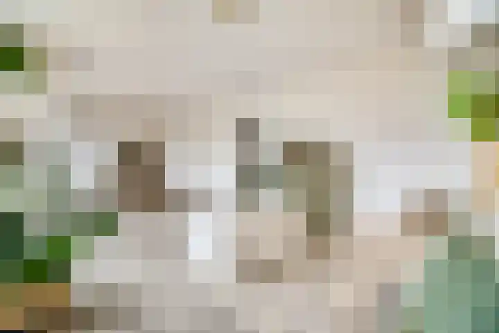 Tsjaikovskilaan 9 Voorschoten thumbnail 17