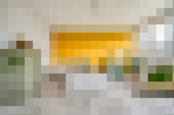 Tsjaikovskilaan 9 Voorschoten thumbnail 18