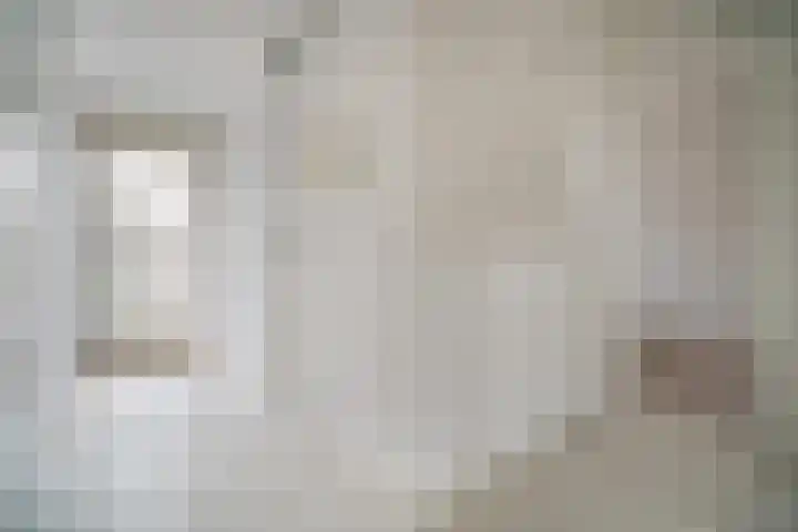 Tsjaikovskilaan 9 Voorschoten thumbnail 24