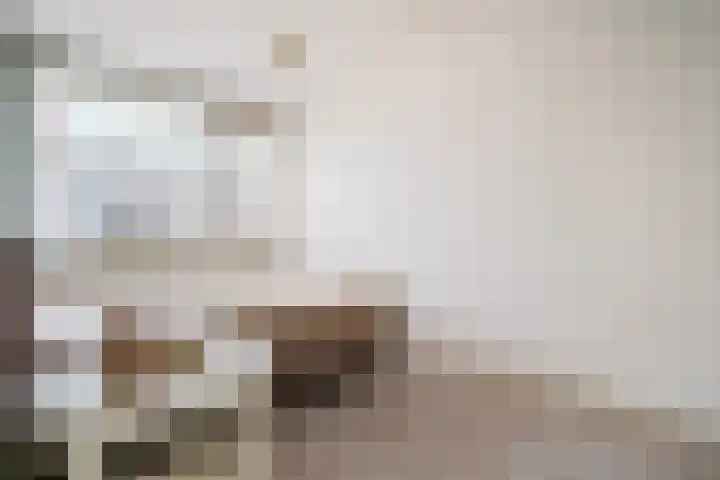 Tsjaikovskilaan 9 Voorschoten thumbnail 25