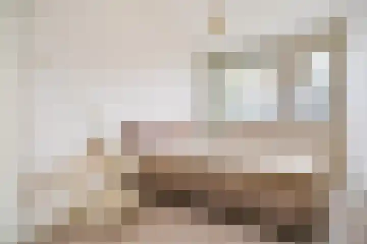 Tsjaikovskilaan 9 Voorschoten thumbnail 26