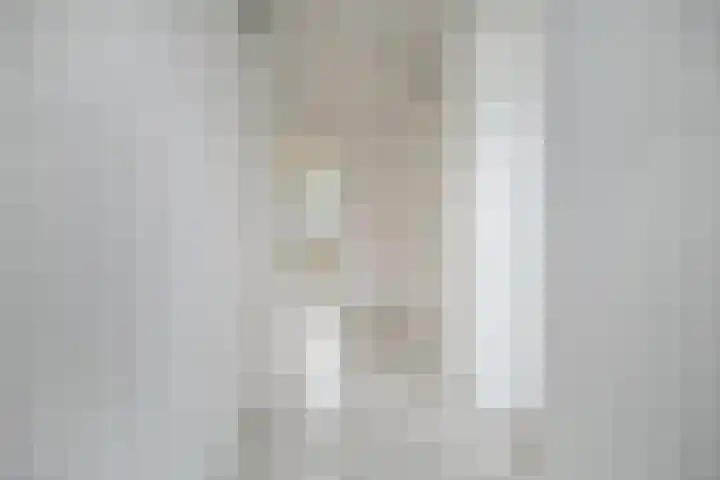 Tsjaikovskilaan 9 Voorschoten thumbnail 28