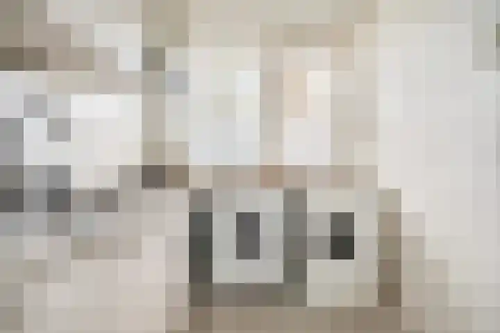 Tsjaikovskilaan 9 Voorschoten thumbnail 30