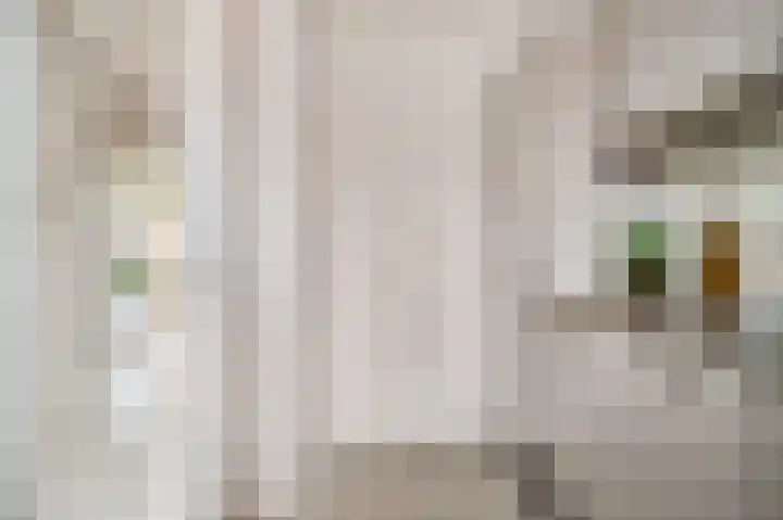 Tsjaikovskilaan 9 Voorschoten thumbnail 31
