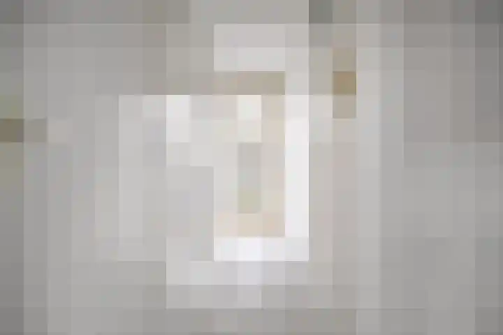 Tsjaikovskilaan 9 Voorschoten thumbnail 34