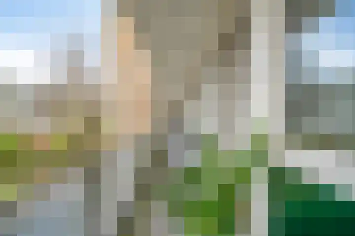 Tsjaikovskilaan 9 Voorschoten thumbnail 36