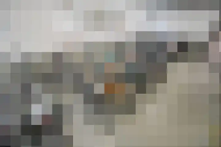 Tsjaikovskilaan 9 Voorschoten thumbnail 37