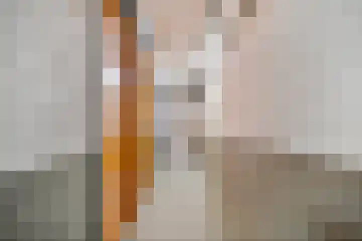 Tsjaikovskilaan 9 Voorschoten thumbnail 38