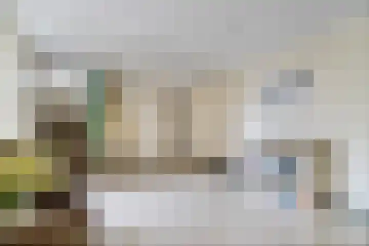 Tsjaikovskilaan 9 Voorschoten thumbnail 39