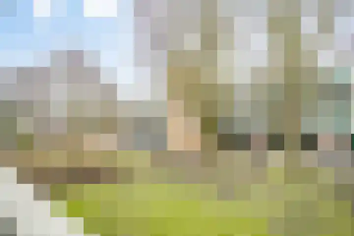 Tsjaikovskilaan 9 Voorschoten thumbnail 4
