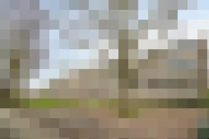 Tsjaikovskilaan 9 Voorschoten thumbnail 43