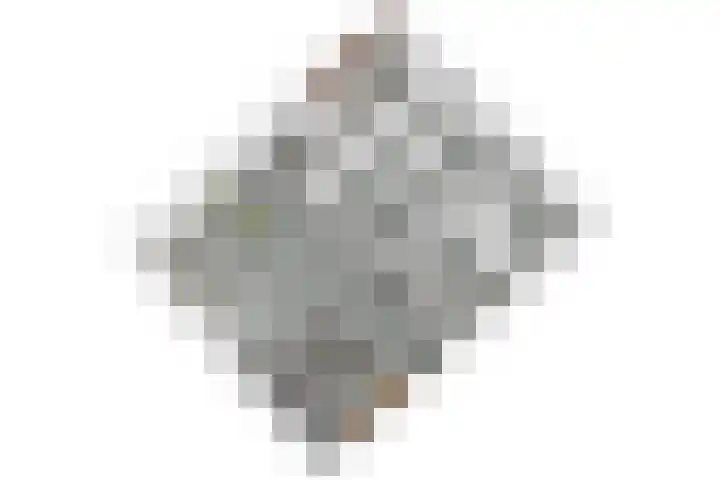 Tsjaikovskilaan 9 Voorschoten thumbnail 44