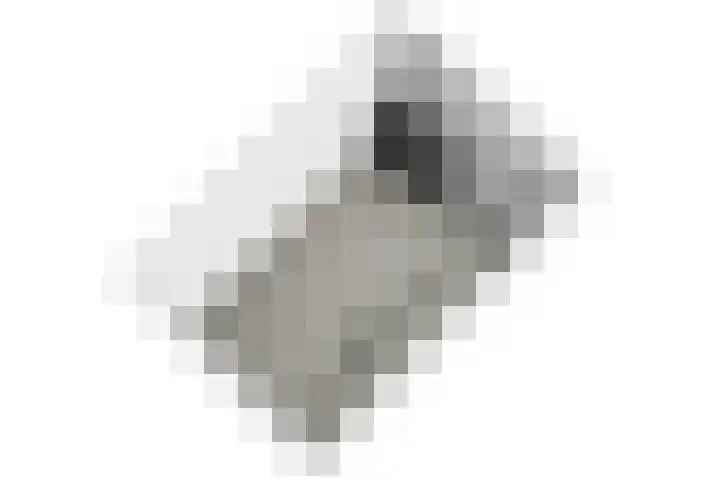 Tsjaikovskilaan 9 Voorschoten thumbnail 47