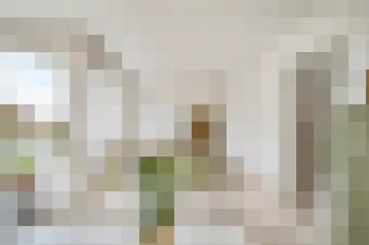 Tsjaikovskilaan 9 Voorschoten thumbnail 8