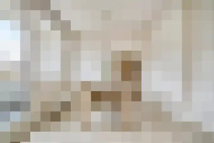 Tsjaikovskilaan 9 Voorschoten thumbnail 9