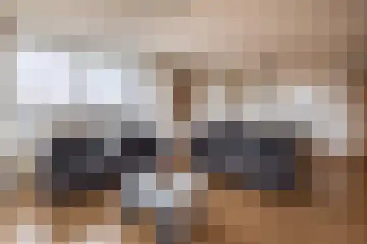 Tsjaikovskistraat 100 Capelle aan den IJssel thumbnail 18