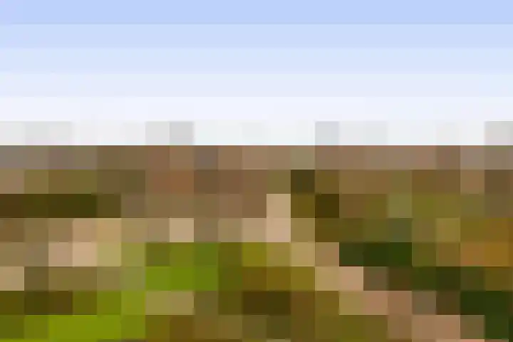 Tsjaikovskistraat 100 Capelle aan den IJssel thumbnail 20