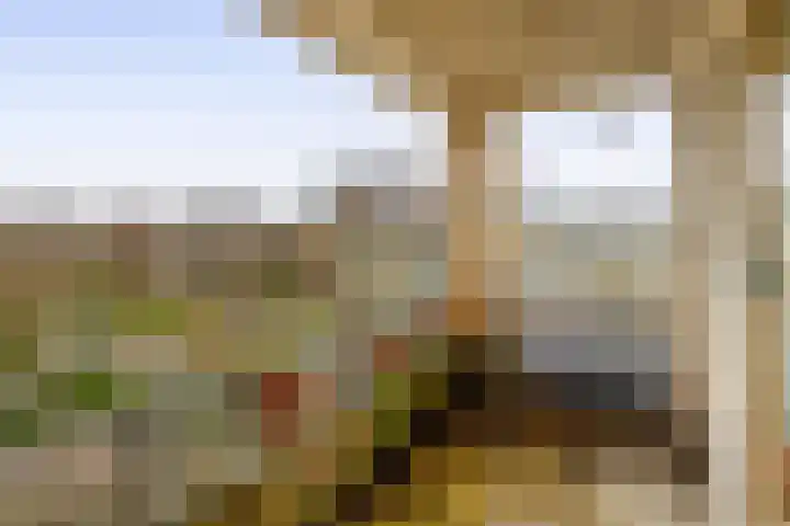 Tsjaikovskistraat 100 Capelle aan den IJssel thumbnail 21