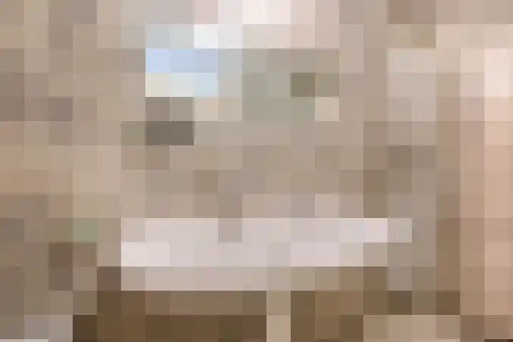 Tsjaikovskistraat 100 Capelle aan den IJssel thumbnail 30