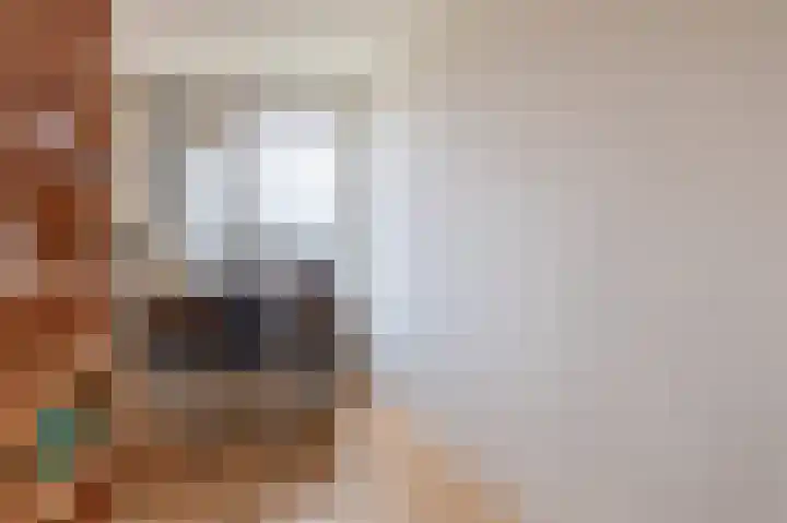 Tsjaikovskistraat 100 Capelle aan den IJssel thumbnail 33